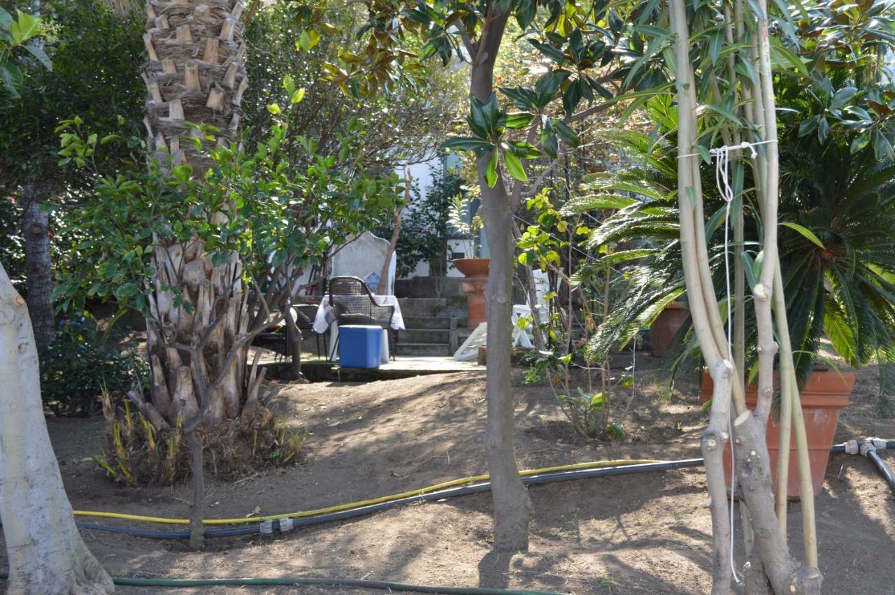 B&B Il Giardino Segreto Στρόμπολι Εξωτερικό φωτογραφία