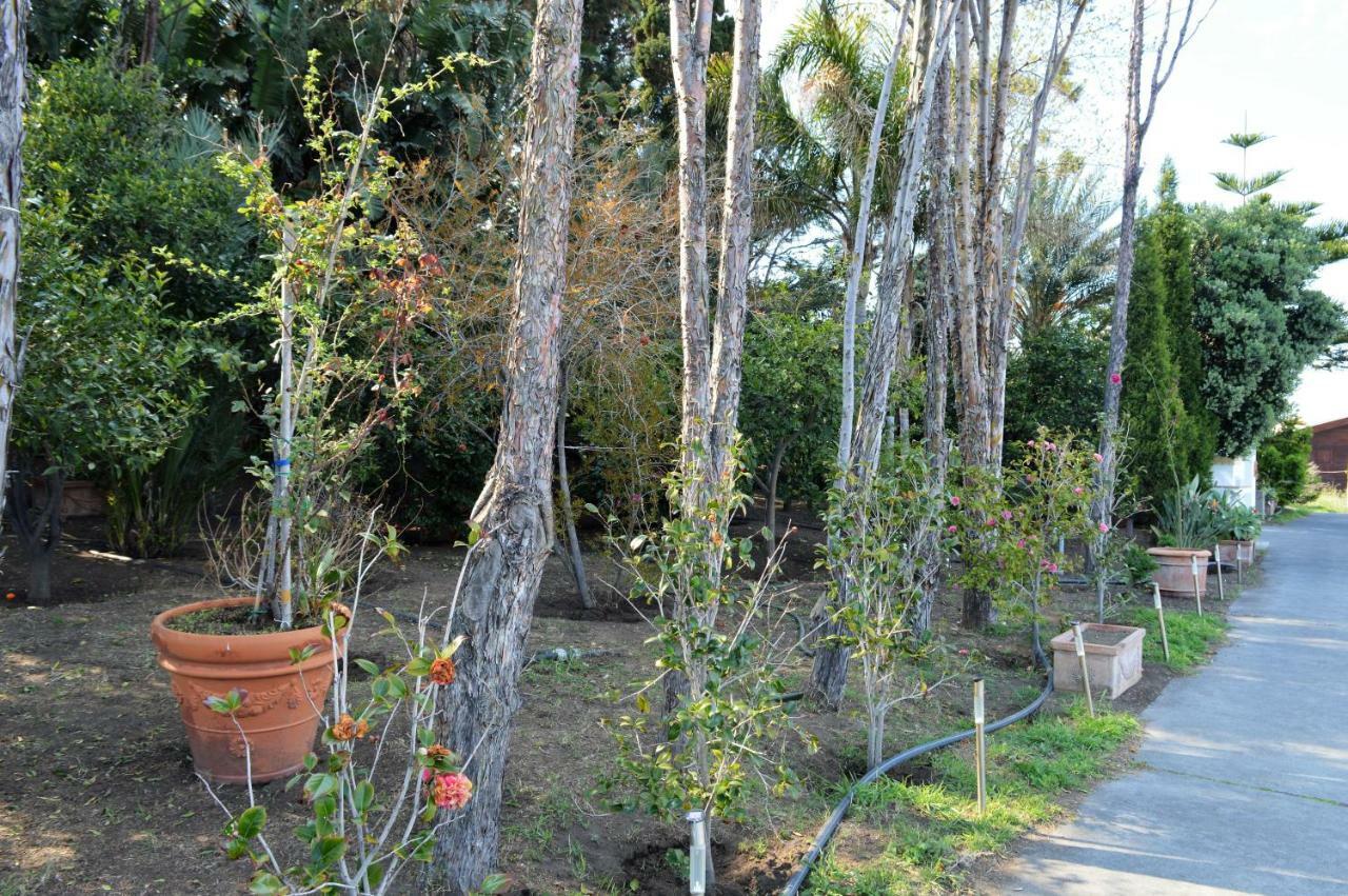 B&B Il Giardino Segreto Στρόμπολι Εξωτερικό φωτογραφία