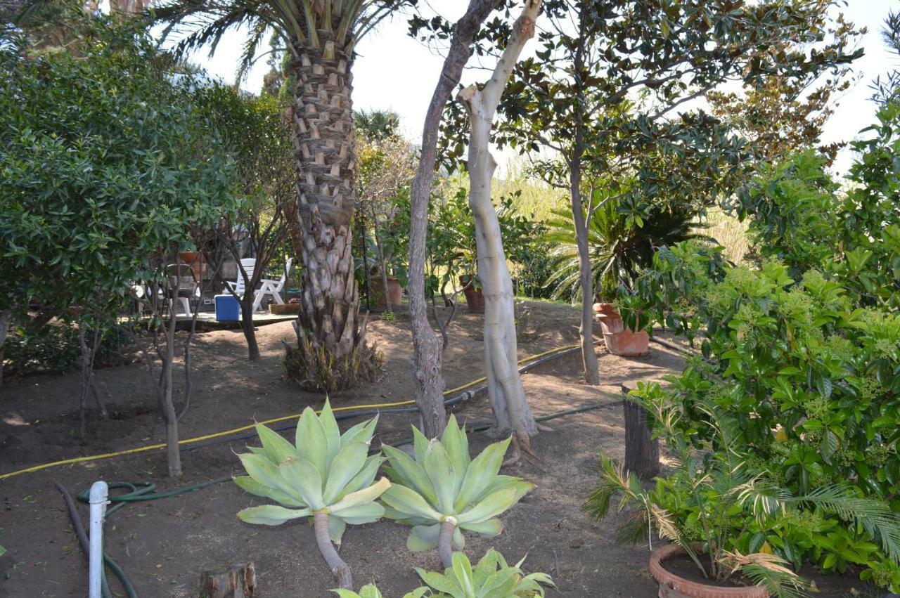 B&B Il Giardino Segreto Στρόμπολι Εξωτερικό φωτογραφία