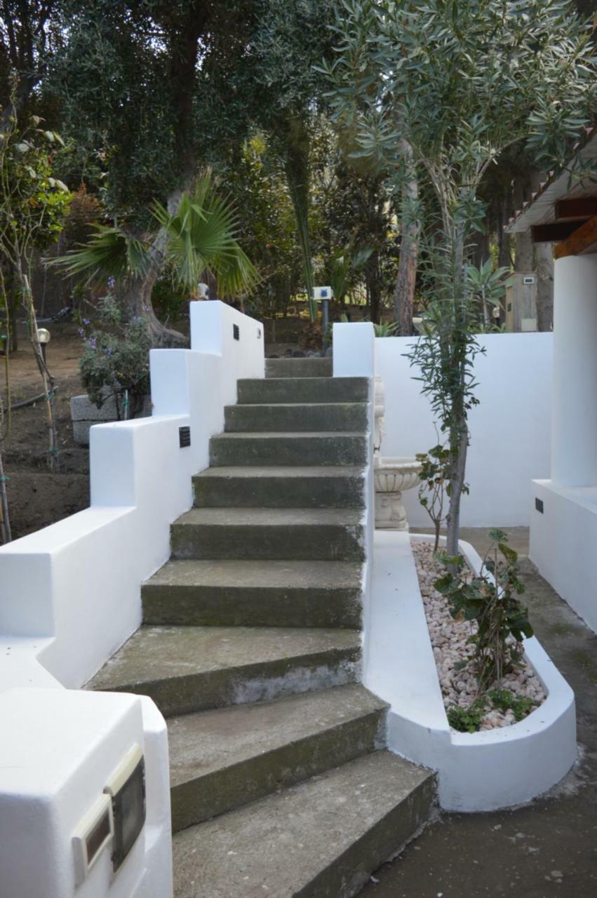 B&B Il Giardino Segreto Στρόμπολι Εξωτερικό φωτογραφία